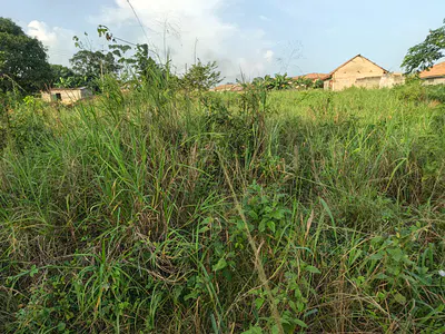 4 Plots of Land (1 Acre Land) — Adesina, Near Kenyasi Abrem., Kumasi Metropolitan, Ashanti