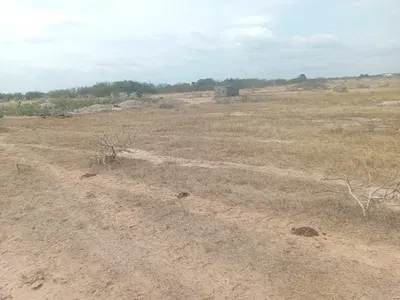 Buy a Genuine Litigation Free Land — Tsopoli, Ningo Prampram District, Accra