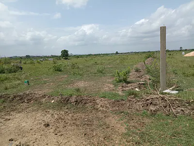 Smart Investment Opportunity -- Land — Shai Hills School Junction, Shai Osudoku, Accra