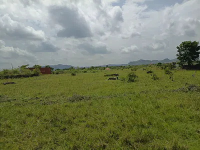 Plan Your Retirement Today! Own a Plot, — Skyport Hills Residence, Shai Hills, Shai Osudoku, Accra