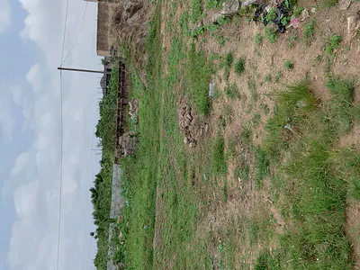 Half Plot of Land — Oyibi, Dodowa, Shai Osudoku, Accra