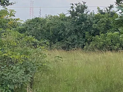 30 Acres of Genuine Commercial/ Residential Land — South Tongu - Alesikpe on the Accra-Aflao Highway, Sogakope, South Tongu, Volta Region