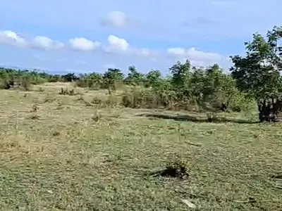 50 Acres of Land, Litigation Free — Mataheko Afianya, Afienya, Tema, Accra