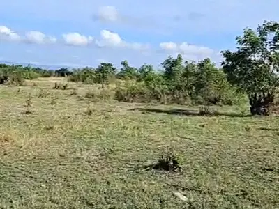 50 Acres Litigation -Free Land Shaihills and Asutsuari Titled Verified — Tema, Tema, Accra
