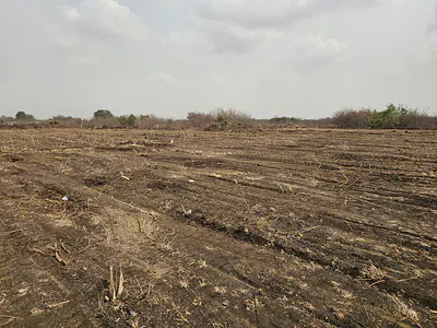 Build Your Dream Home on a Half Plot — Skyport City, Tsopoli, Ningo Prampram District, Accra